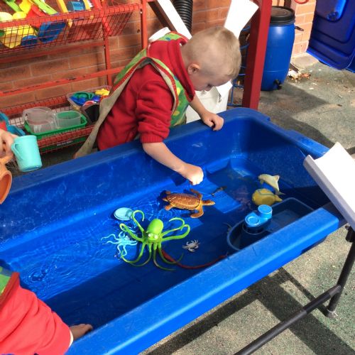 Take a look at what we have been up to this half term.